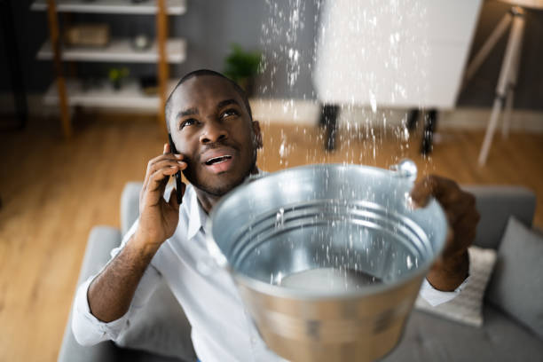 Best Flood restoration services  in Gretna, LA