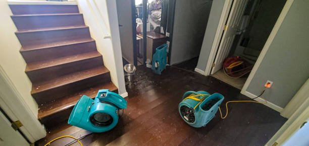  Gretna, LA Water damage restoration Pros