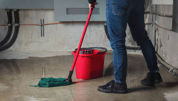Best Flood damage cleanup  in Gretna, LA