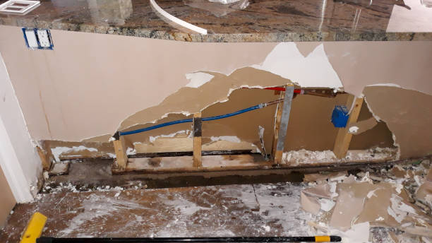 Water damage restoration mold remediation in LA