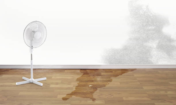 Water damage restoration insurance claims in LA