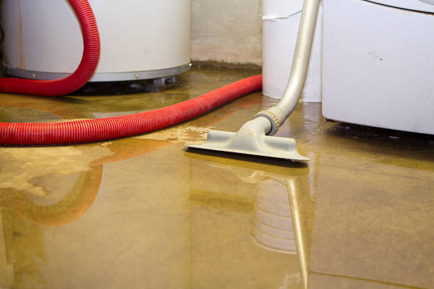 Best Sewage cleanup and water damage restoration  in Gretna, LA