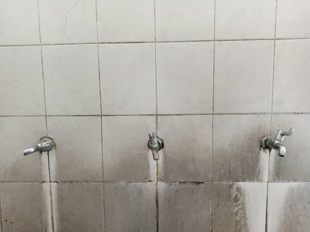 Best Mold removal after water damage  in Gretna, LA