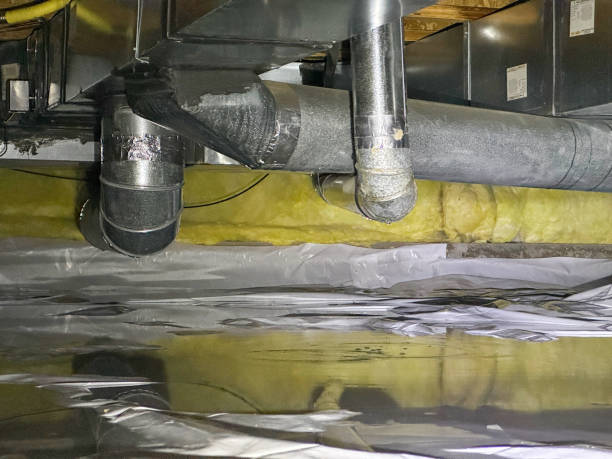 Best Water damage cleanup near me  in Gretna, LA