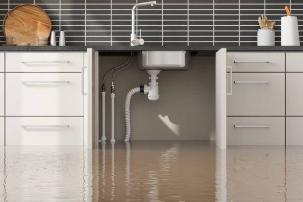 Best Sewage cleanup and water damage restoration  in Gretna, LA