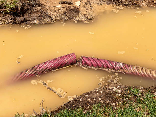 Best Water damage contractors near me  in Gretna, LA
