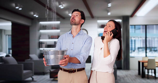 Best Carpet water damage restoration  in Gretna, LA