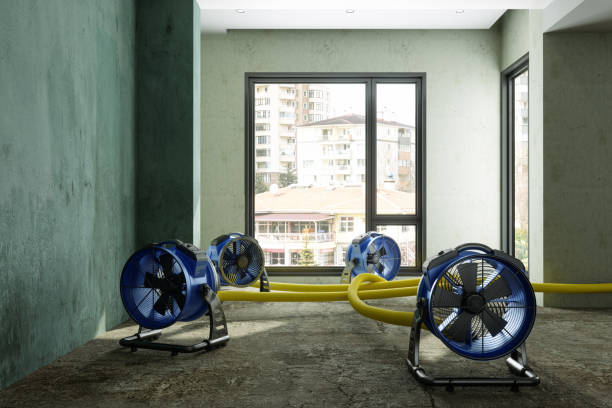 Best Flood restoration services  in Gretna, LA